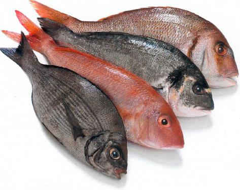 Fish fillets